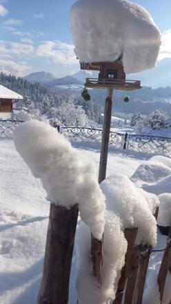 Wir lieben den Winter