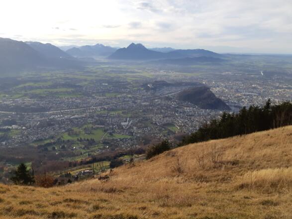Blick nach Salzburg
