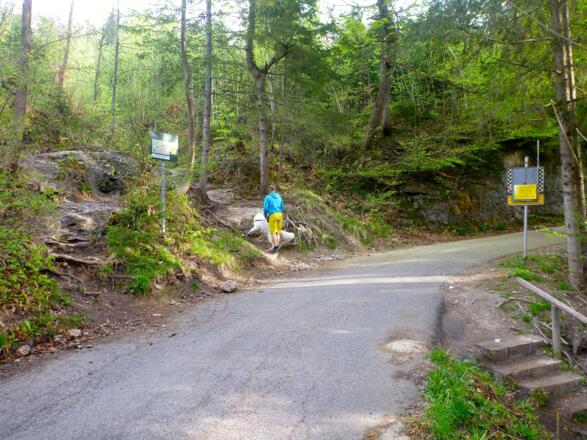 Abzweigung zur Arzleralm