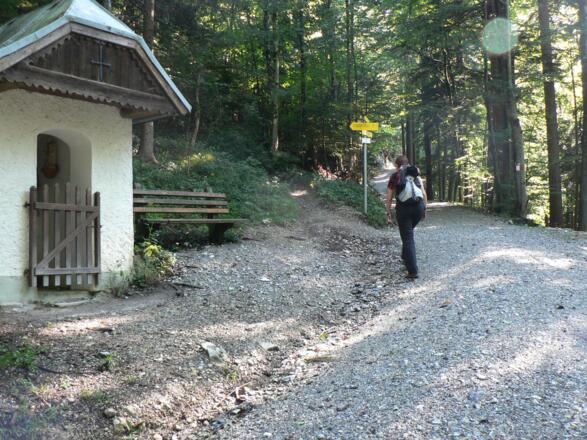 Im Wald bis zur Mauruskapelle, von hier zieht ein Hohlweg zur Sommeraualm