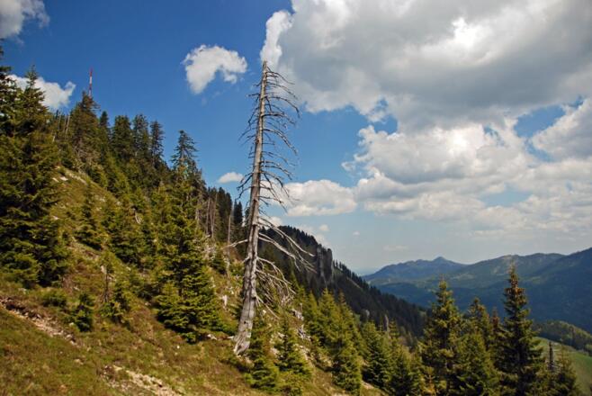 Beim Abstieg ins Starzlachtal