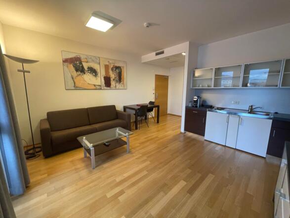 Bären Suite 2