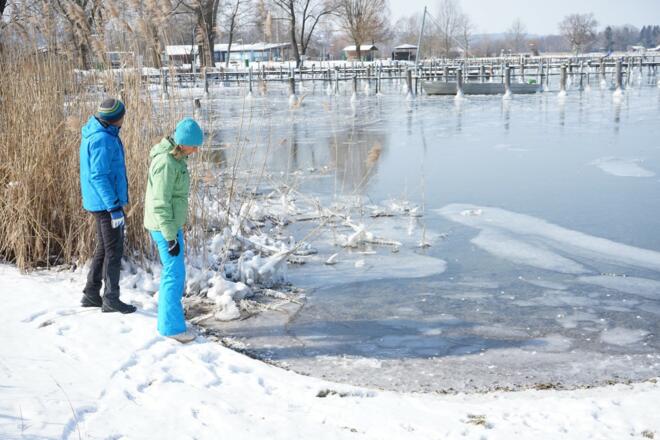 Chiemseeufer im Winter