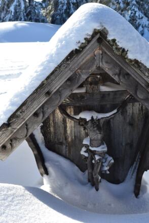 Der Gipfel des Burstkopf.