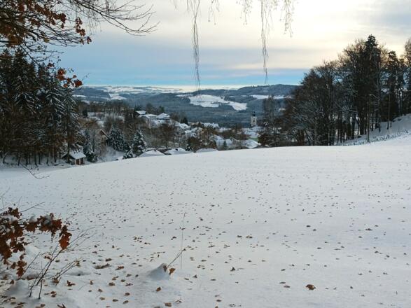 Blick vom Zollhaus nach St. Oswald bei Haslach