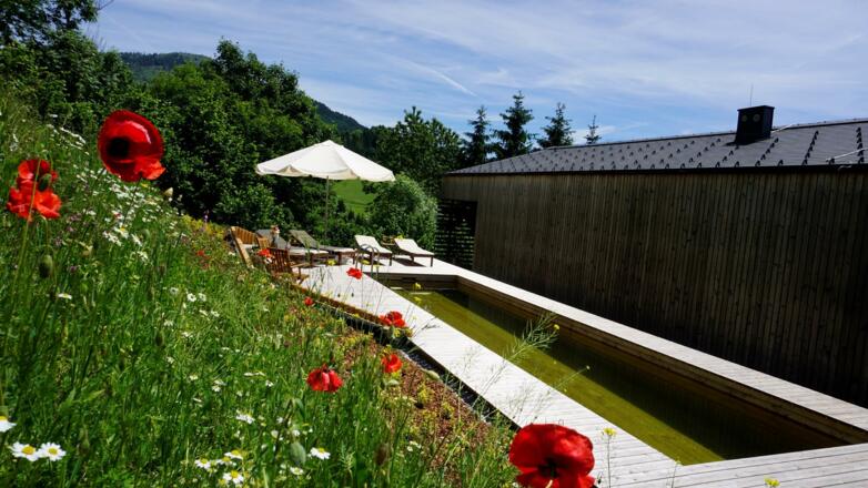 Ferienchalet Blumenwiese