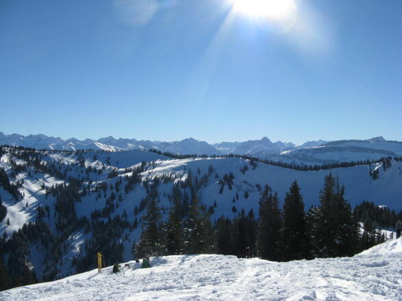 Blick nach Süden in die Allgäuer Alpen