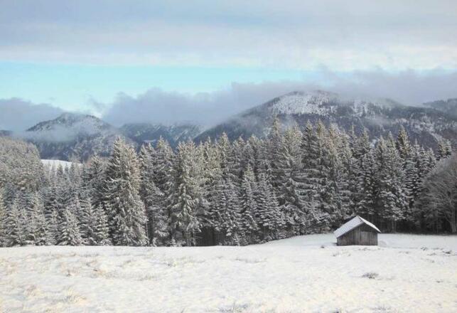 Haus Jörg    Kräutervermieter