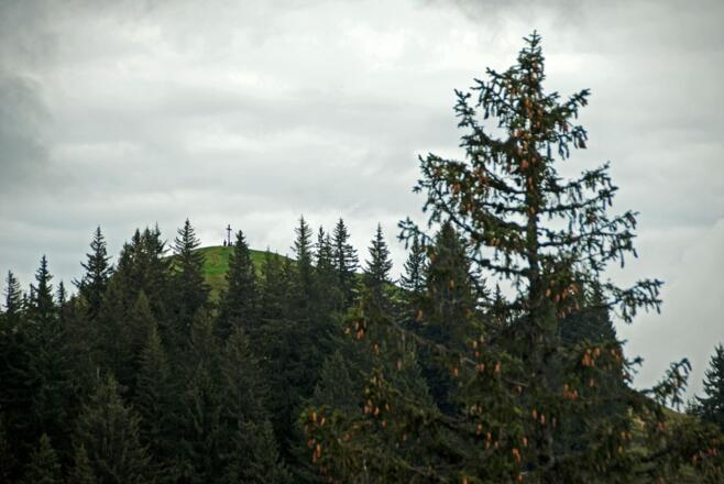 Beim Anstieg zum Rangiswanger Horn