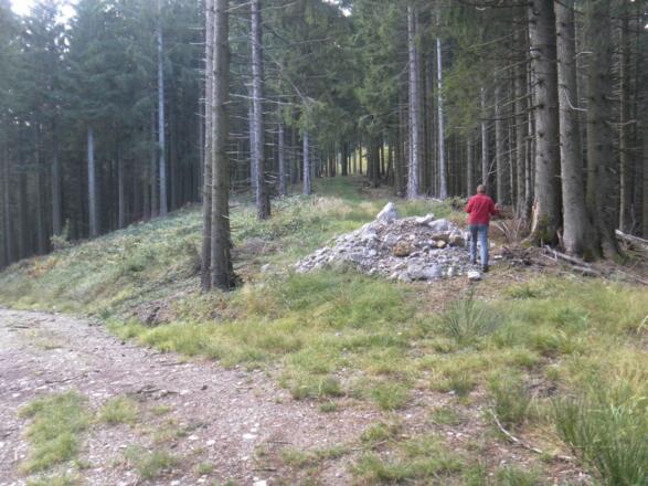 Am Weg oder am Pfad zum Zinnkopf