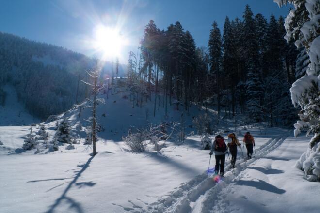 Abwechslungsreicher Aufstieg, Waldpassagen und Lichtungen wechseln sich ab