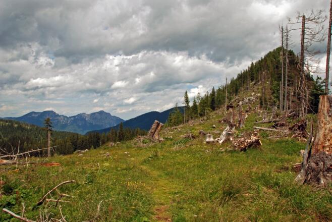 Auf dem Sattel zwischen Jochköpfl und Karkopf