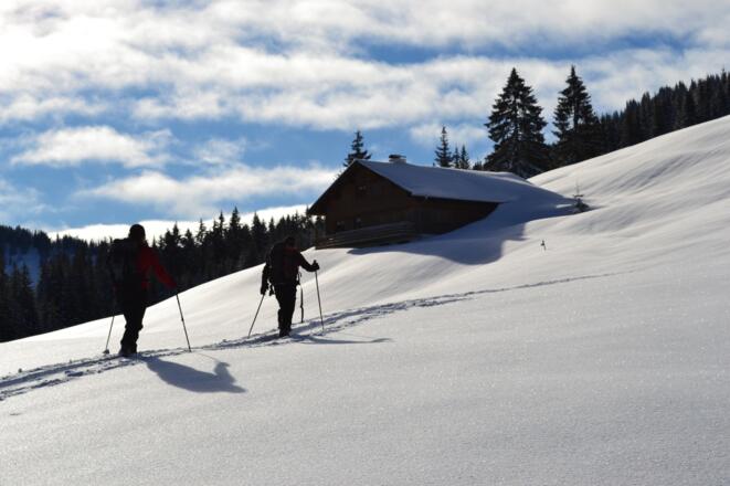 Die Stadelmannburstalpe
