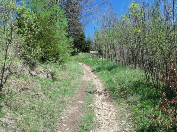 Zum Schluß wirds etwas anspruchsvoller. Auf diesem Pfad weiter zur Anton Schosser Hütte.