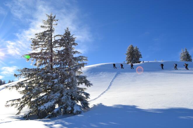 Kurz unterhalb des Gipfels auf den nordöstlichen Rücken.