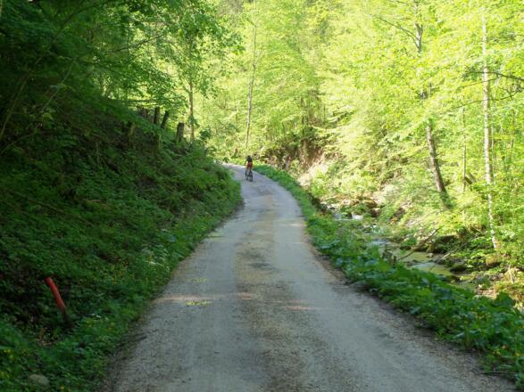 Entlang des Wendbaches.