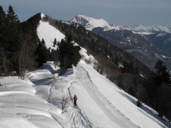 Ob man die Felle bei der flachen Abfahrt von der Pillsteinhöhe in Richtung Zwölferhorn auf den Schiern lässt ist Geschmacksache (24.12.2012).
