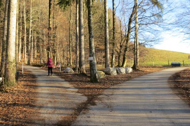 Abzweigung Zufahrt Padinger Alm