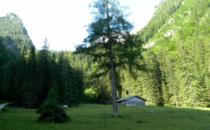 Eckaualm