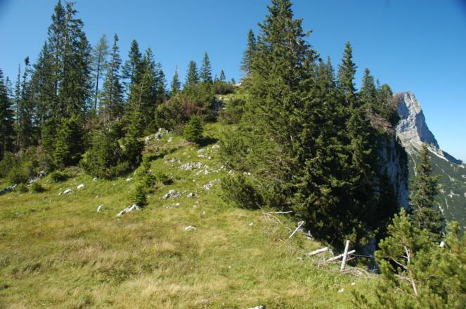 Beim Übergang über den Bannkopf im Rahmen der Rauhen Kopf Überschreitung