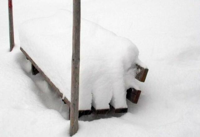 Fewo Löffler   Haus Tina