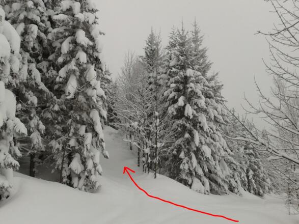Von der quer verlaufenden Forststraße oberhalb der Laimeralm muss man diesen Ziehweg für den Weiterweg benützen (20.2.2013).