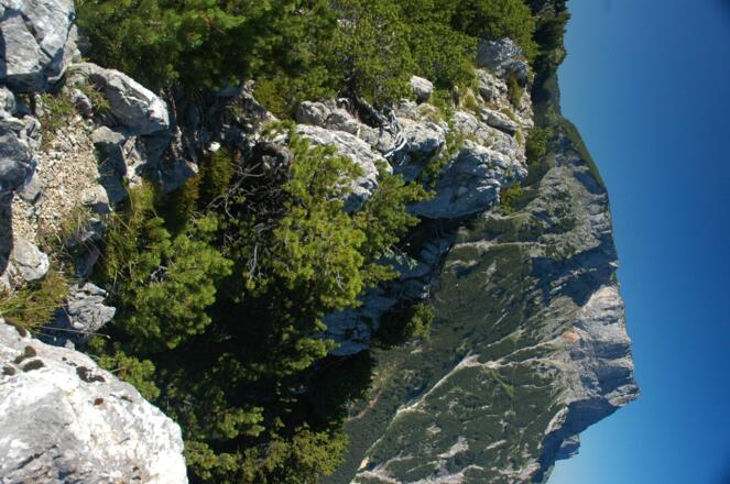 Grat zwischen Rauher Kopf und Bannkopf