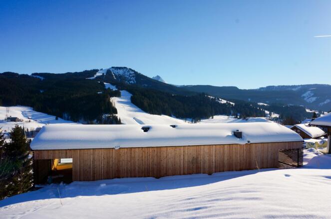 Ferienchalet im Winter von hinten