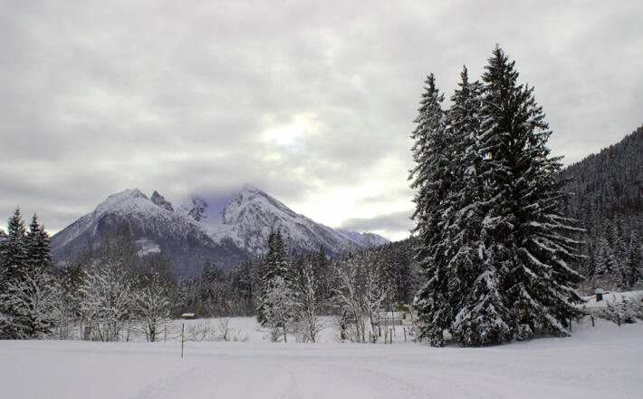 Langlauf Loipe Ramsau Taubensee