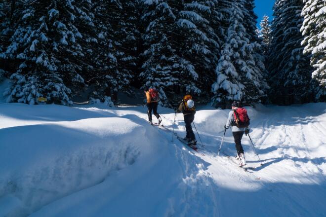 Wir verlassen die Forststraße und folgen dem markierten Sommerweg