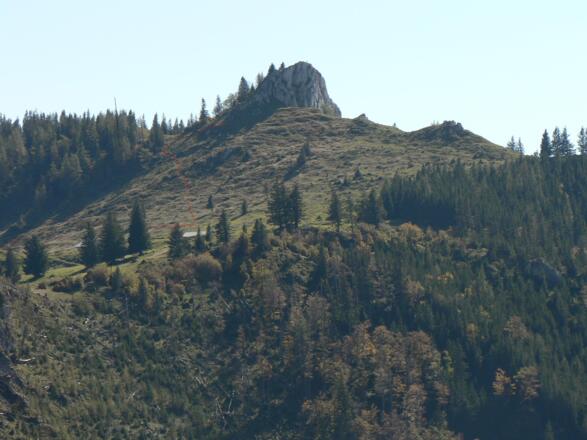 Der Weg über die Alm hinauf zum Vormauerstein (1450 m)
