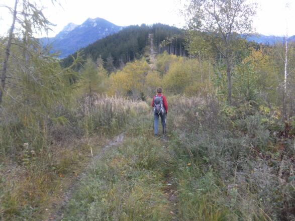 Rücken zur Sulzbergschneid
