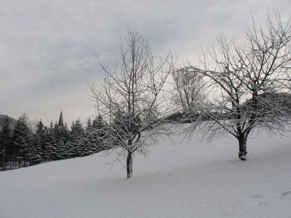 Winterlandschaft 2