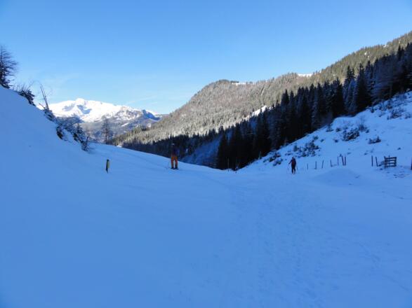 Forststraßen-Kreuzung westwärts Richtung Arlingalm