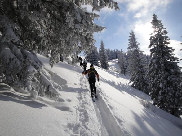 Bei wenig Schnee oder schlechten Schneeverhältnissen kann die Querung beim Gartenberg unangenehm sein (18.12.2010)