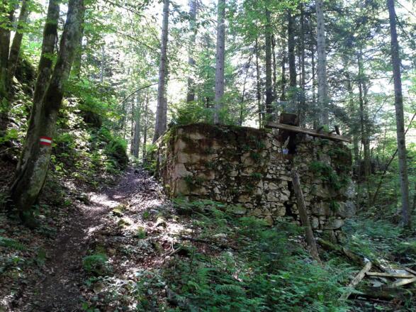 Man passiert die Schaffersag, Relikt des Betriebsstandortes Steinberg (bis 1769).