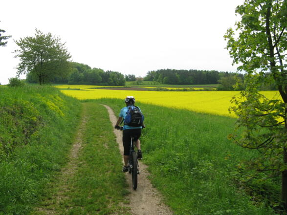 Über freies Gelände lässt sich gut biken!