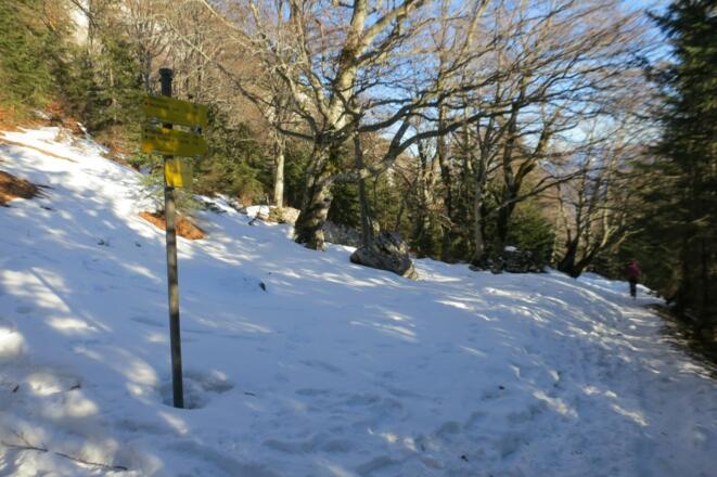 Abzweigung Zwieselalm