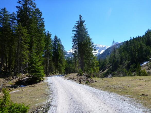 Schotterweg zur Möslalm (rechts halten)