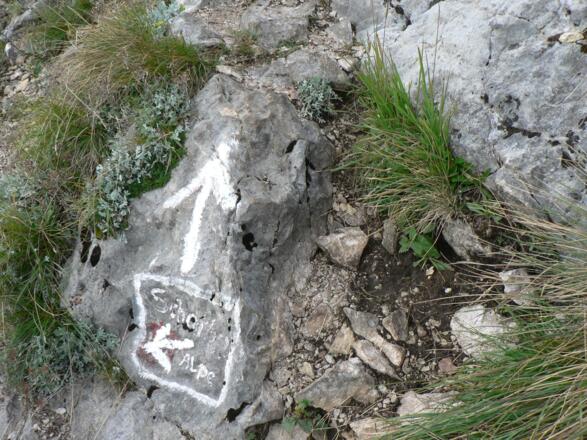 Dann teilt sich der Weg - hinauf zur Schafbergspitze oder gleich zur Schafbergalm