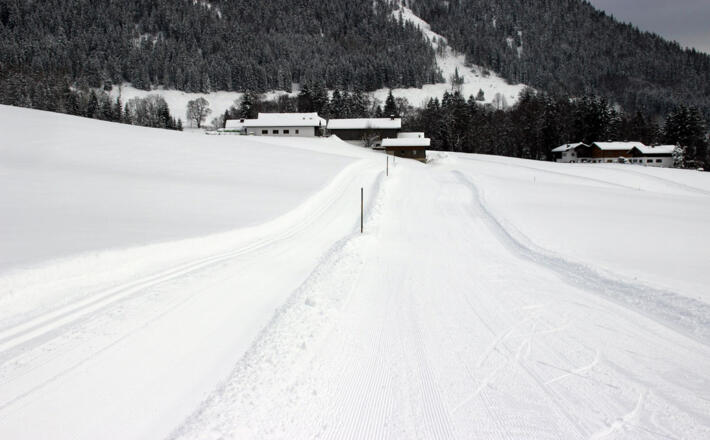 Langlauf Loipe Ramsau Taubensee