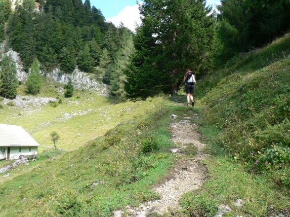 Der Almweg zieht oberhalb der Sommeraualm weiter zur Vormaueralm