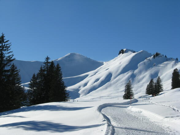 Im "kleinen Boden, ca. 1355 m," des Bolgental