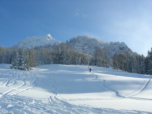 Auf der Laimeralm muss man suchen um unverspurtes Gelände zu finden.