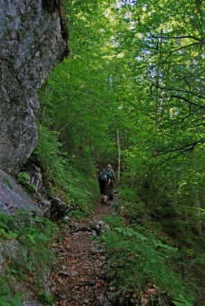 Aufstieg zur Gotzentalalm