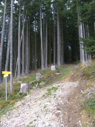 Gipfelabzweig