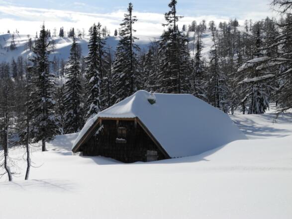 Schnee gab es 2013 genug! Jagdhütte im "Goldenen Schüsserl"