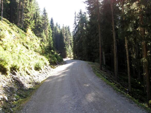 Unterhalb der Weidener Hütte ist die Forststraße im ausgezeichneten Zustand