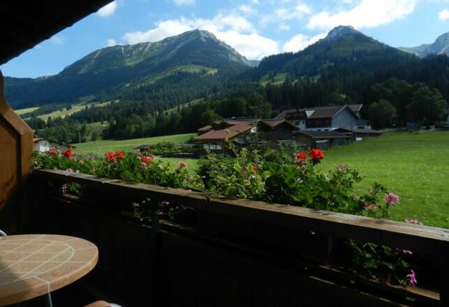 Freier Bergblick und Süd-Ausrichtung (alle Wohnungen)