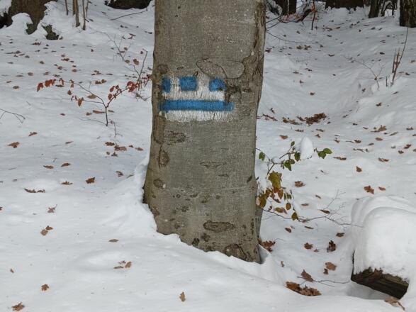 Nordwaldkammweg, auch im Winter machbar